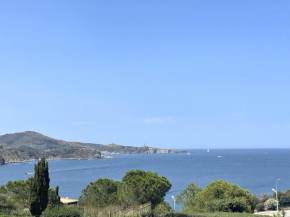 Appartement rénové T2 à Banyuls, climatisé, terrasse, parking, proche crique et thalasso - FR-1-309-235